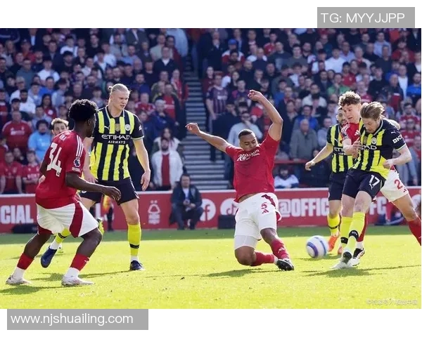 霍芬海姆与杜塞尔多夫的激烈对决前瞻分析及比赛预测