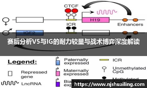 JN江南·体育网页版