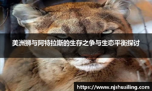 jn体育官方