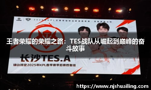王者荣耀的荣耀之路：TES战队从崛起到巅峰的奋斗故事